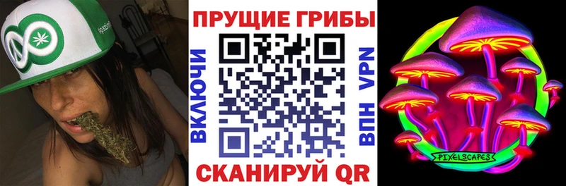 как найти   Тында  Псилоцибиновые грибы прущие грибы 